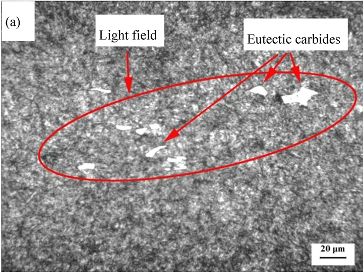 H13.A-center H13 steel ingot center microstructure after tempering showing eutectic carbides