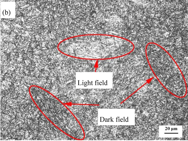 H13.B-Half-radius H13 steel ingot half radius microstructure after tempering with visible carbides