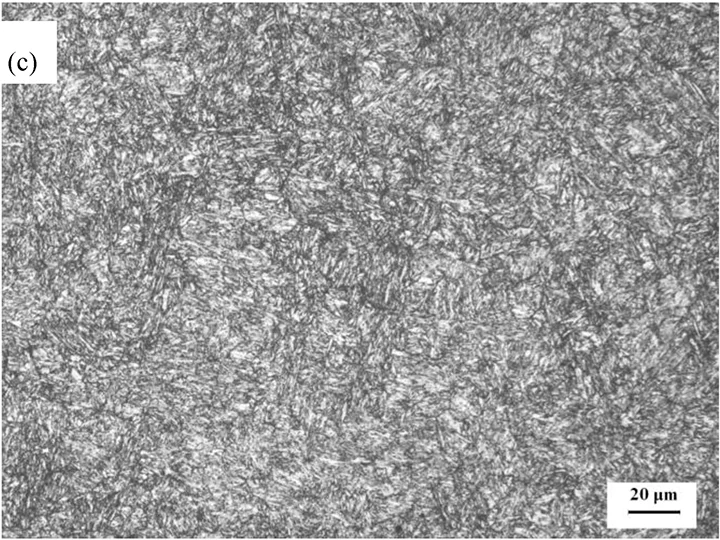 H13.C-Outer surface H13 steel ingot outer surface microstructure after tempering showing carbides